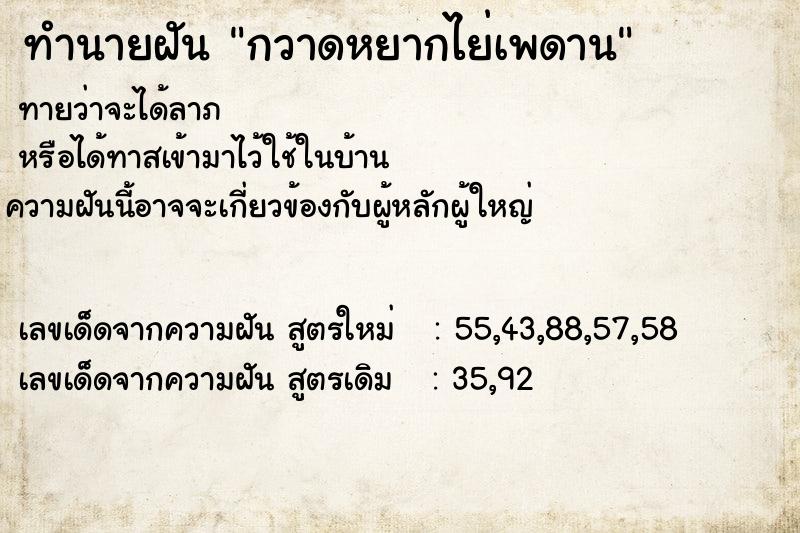 ทำนายฝันกวาดหยากไย่เพดาน ทำนายฝันทำนายฝันกวาดหยากไย่เพดาน