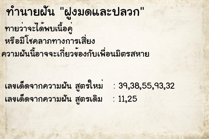 ทำนายฝันทำนายฝันฝูงมดและปลวก