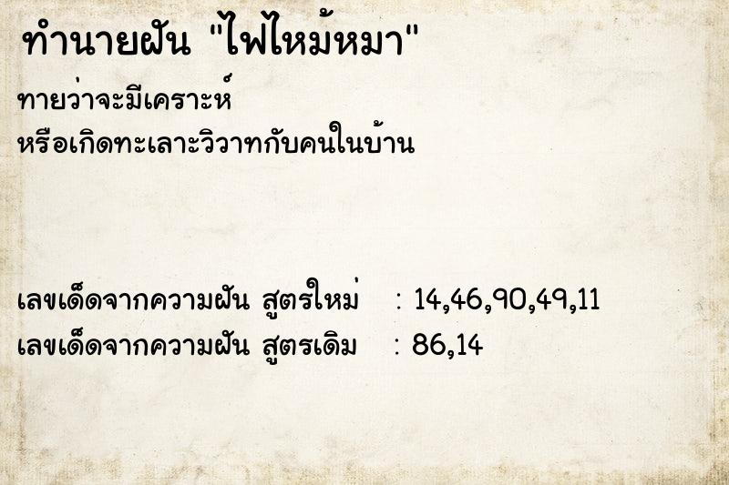 ทำนายฝันทำนายฝันไฟไหม้หมา