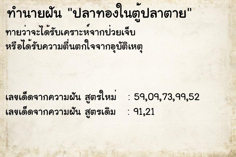 ทำนายฝัน ปลาทองในตู้ปลาตาย ทำนายฝัน ปลาทองในตู้ปลาตาย