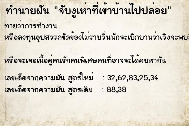 ทำนายฝัน จับงูเห่าที่เข้าบ้านไปปล่อย ทำนายฝัน จับงูเห่าที่เข้าบ้านไปปล่อย