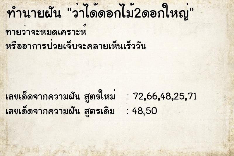ทำนายฝันทำนายฝันว่าได้ดอกไม้2ดอกใหญ่