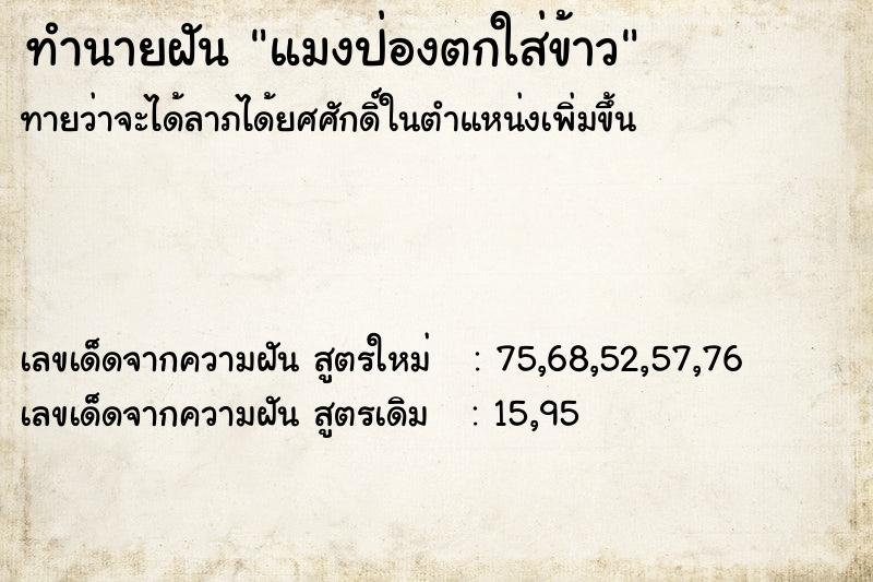 ทำนายฝันทำนายฝันแมงป่องตกใส่ข้าว
