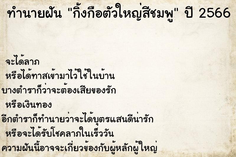 ทำนายฝันกิ้งกือตัวใหญ่สีชมพู ทำนายฝันทำนายฝันกิ้งกือตัวใหญ่สีชมพู