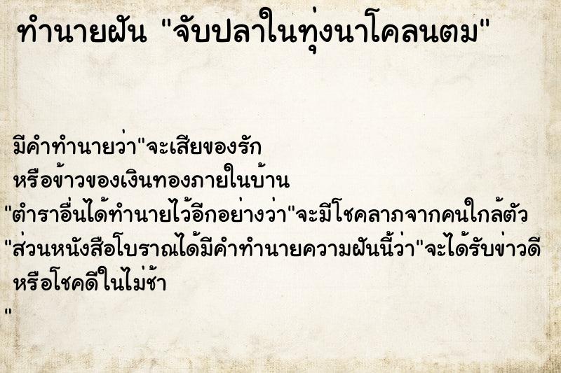 ทำนายฝันทำนายฝันจับปลาในทุ่งนาโคลนตม