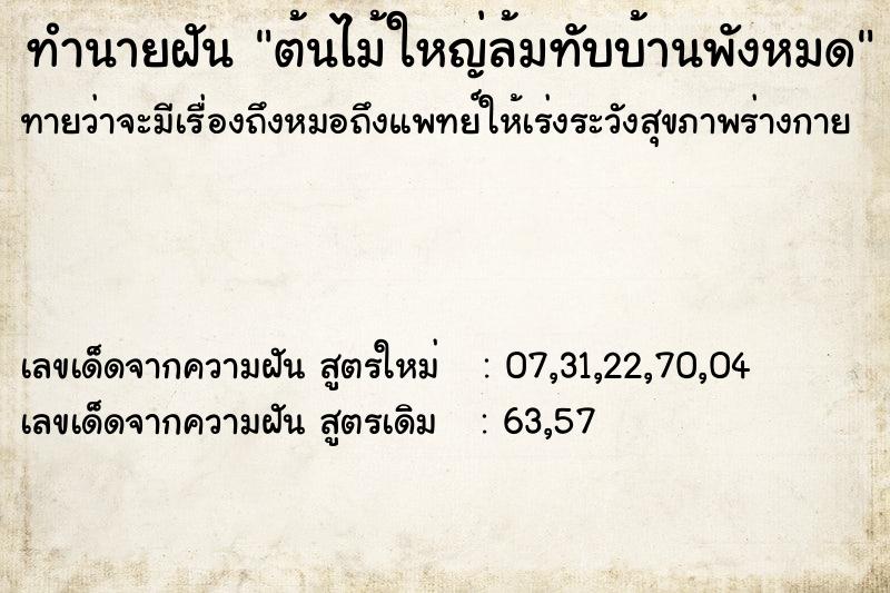 ทำนายฝันทำนายฝันต้นไม้ใหญ่ล้มทับบ้านพังหมด
