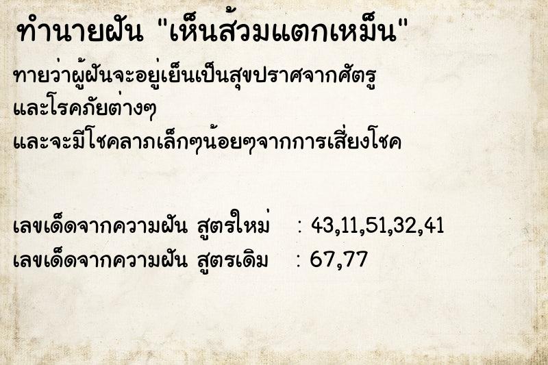 ทำนายฝันทำนายฝันเห็นส้วมแตกเหม็น