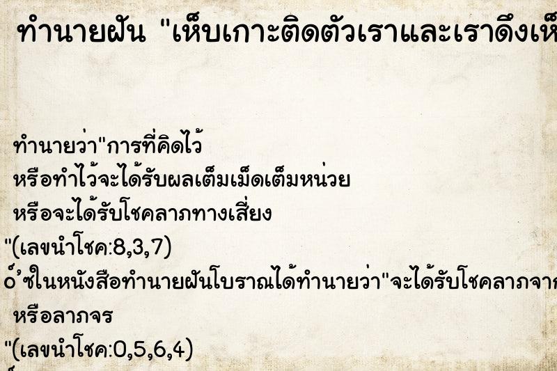 ทำนายฝันทำนายฝันเห็บเกาะติดตัวเราและเราดึงเห็บมาฆ่า