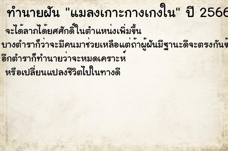 ทำนายฝัน แมลงเกาะกางเกงใน ทำนายฝัน แมลงเกาะกางเกงใน