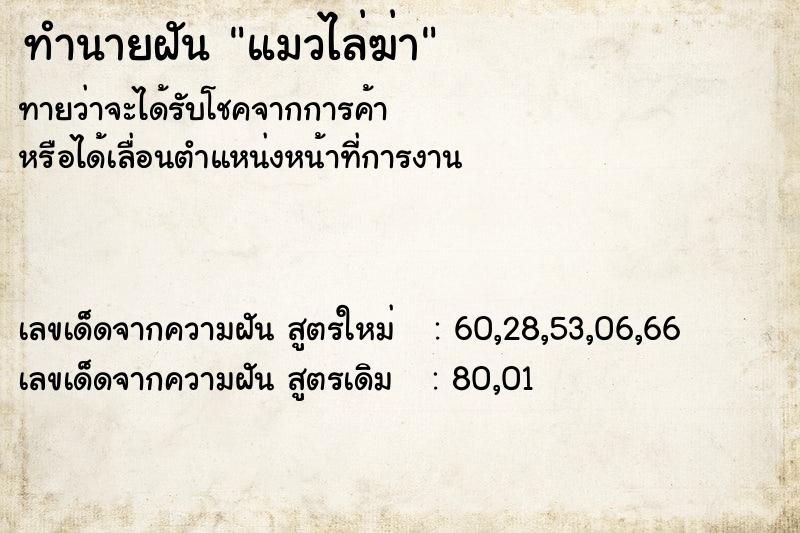 ทำนายฝันทำนายฝันแมวไล่ฆ่า