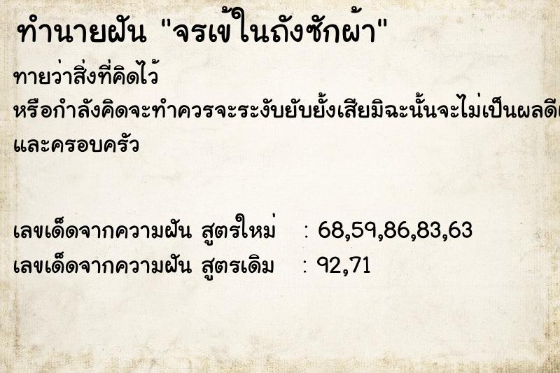 ทำนายฝันทำนายฝันจรเข้ในถังซักผ้า