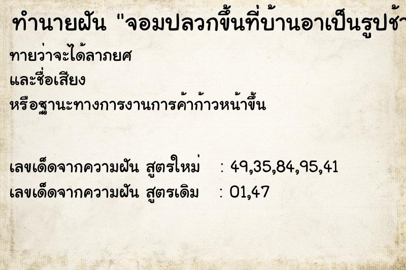 ทำนายฝันทำนายฝันจอมปลวกขึ้นที่บ้านอาเป็นรูปช้าง