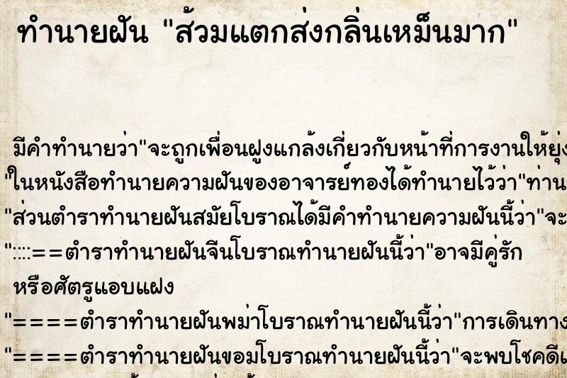 ทำนายฝัน ส้วมแตกส่งกลิ่นเหม็นมาก ทำนายฝัน ส้วมแตกส่งกลิ่นเหม็นมาก