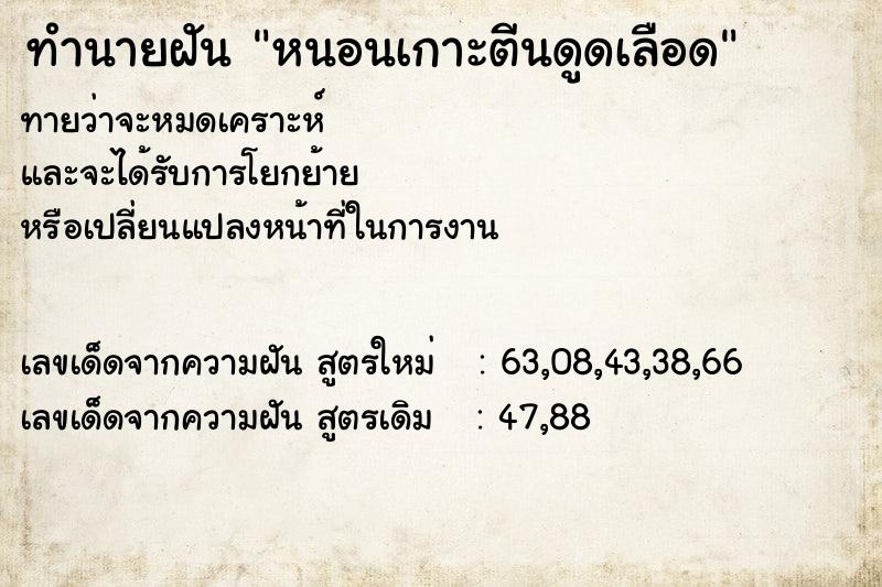 ทำนายฝันทำนายฝันหนอนเกาะตีนดูดเลือด
