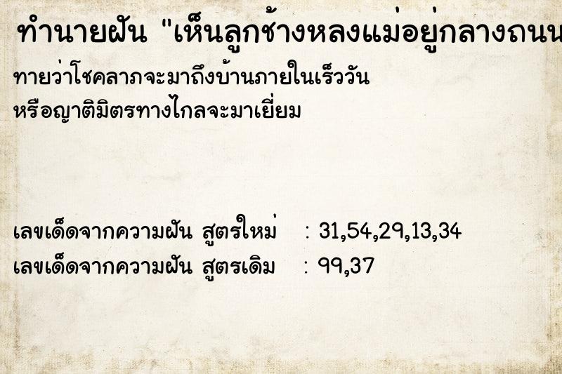 ทำนายฝันทำนายฝันเห็นลูกช้างหลงแม่อยู่กลางถนน