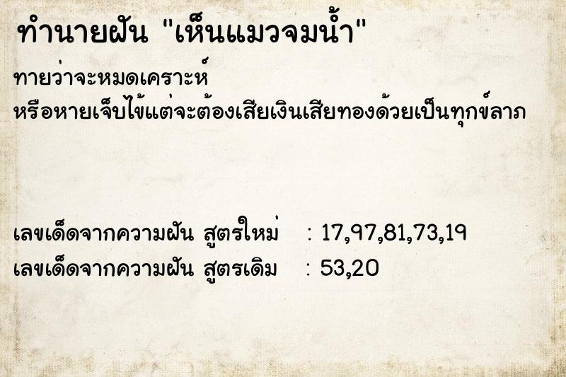 ทำนายฝันทำนายฝันเห็นแมวจมน้ำ