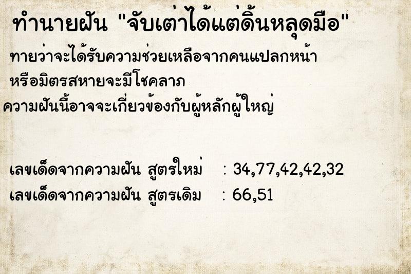 ทำนายฝันทำนายฝันจับเต่าได้แต่ดิ้นหลุดมือ