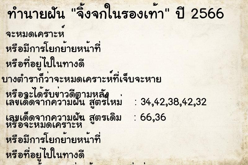 ทำนายฝัน จิ้งจกในรองเท้า