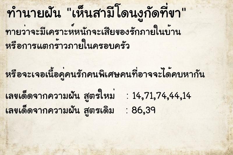 ทำนายฝันเห็นสามีโดนงูกัดที่ขา ทำนายฝันทำนายฝันเห็นสามีโดนงูกัดที่ขา