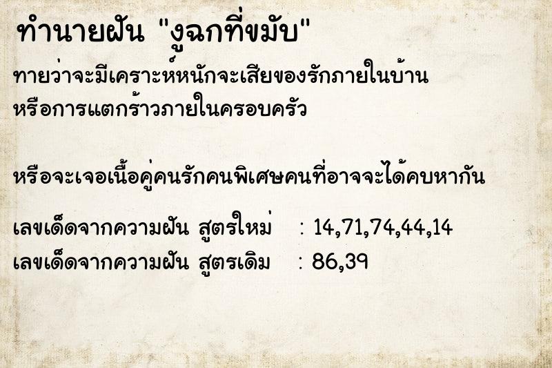ทำนายฝันทำนายฝันงูฉกที่ขมับ
