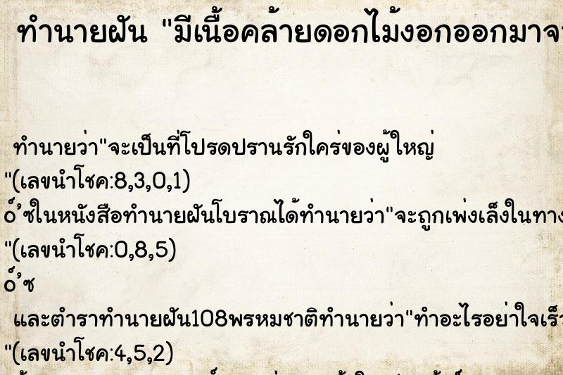 ทำนายฝันทำนายฝันมีเนื้อคล้ายดอกไม้งอกออกมาจากแขน