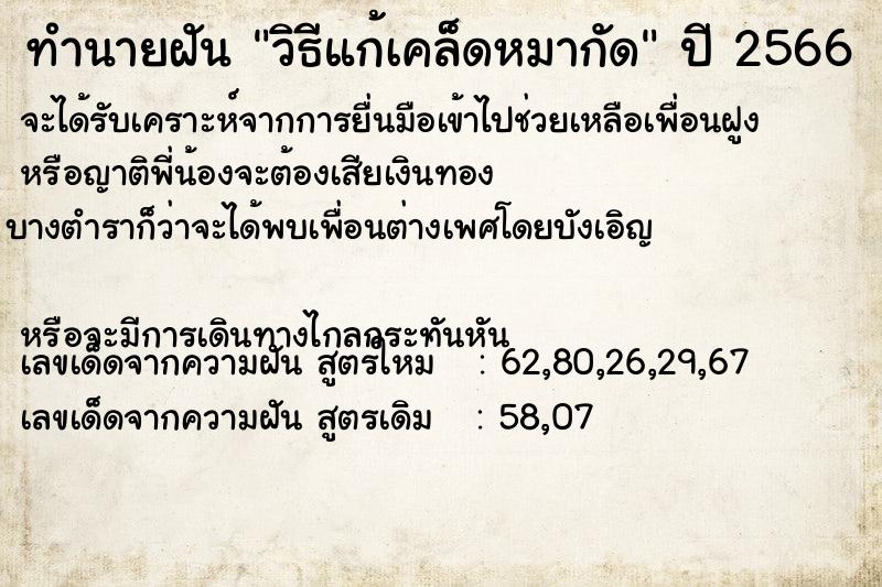 ทำนายฝันทำนายฝันวิธีแก้เคล็ดหมากัด