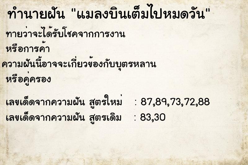 ทำนายฝันทำนายฝันแมลงบินเต็มไปหมดวัน