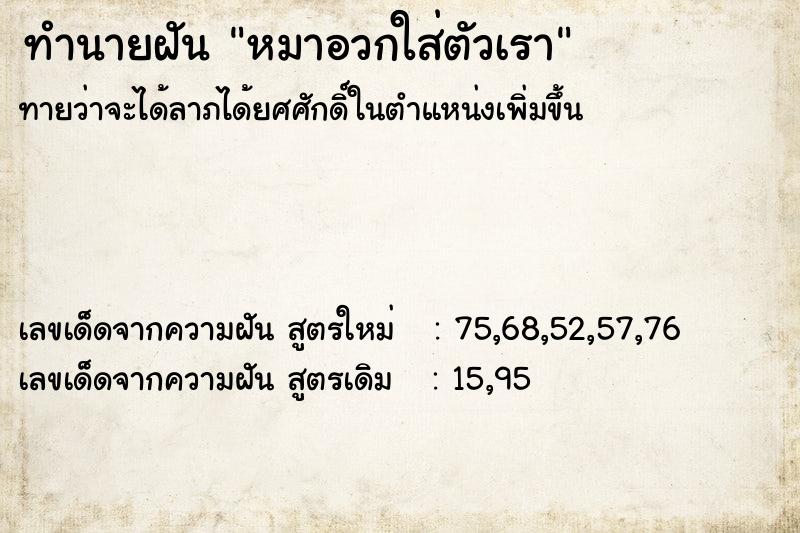 ทำนายฝันทำนายฝันหมาอวกใส่ตัวเรา