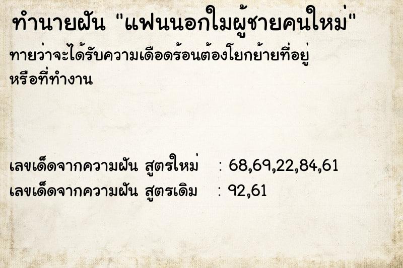 ทำนายฝันทำนายฝันแฟนนอกใมผู้ชายคนใหม่