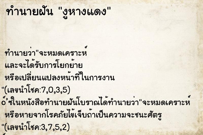 ทำนายฝันงูหางแดง ทำนายฝันทำนายฝันงูหางแดง