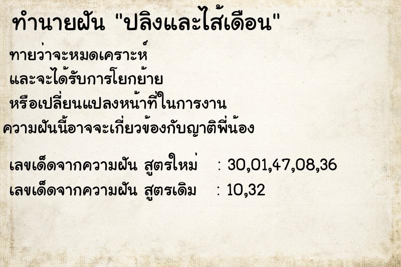 ทำนายฝัน ปลิงและไส้เดือน ทำนายฝัน ปลิงและไส้เดือน