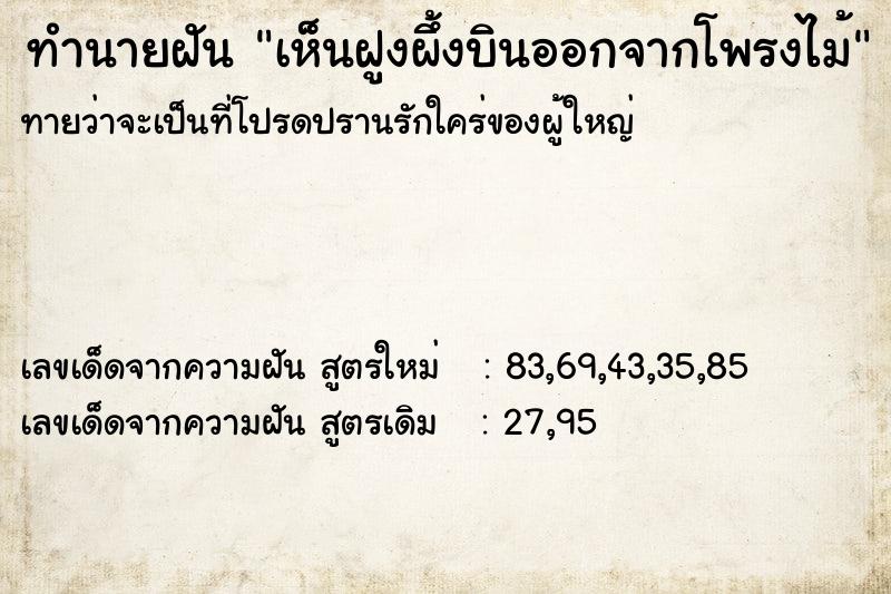 ทำนายฝันทำนายฝันเห็นฝูงผึ้งบินออกจากโพรงไม้