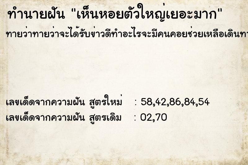 ทำนายฝัน เห็นหอยตัวใหญ่เยอะมาก ทำนายฝัน เห็นหอยตัวใหญ่เยอะมาก