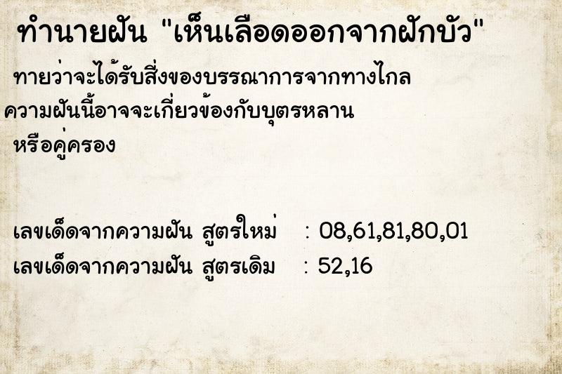 ทำนายฝัน เห็นเลือดออกจากฝักบัว ทำนายฝัน เห็นเลือดออกจากฝักบัว