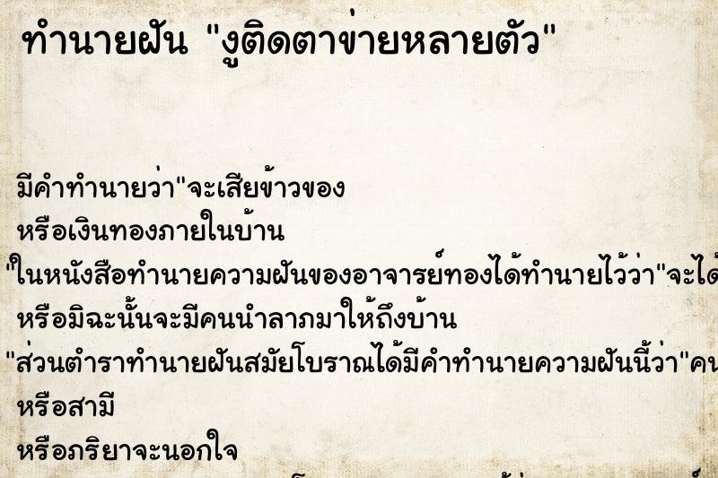 ทำนายฝัน งูติดตาข่ายหลายตัว ทำนายฝัน งูติดตาข่ายหลายตัว