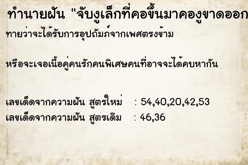 ทำนายฝันทำนายฝันจับงูเล็กที่คอขึ้นมาคองูขาดออก