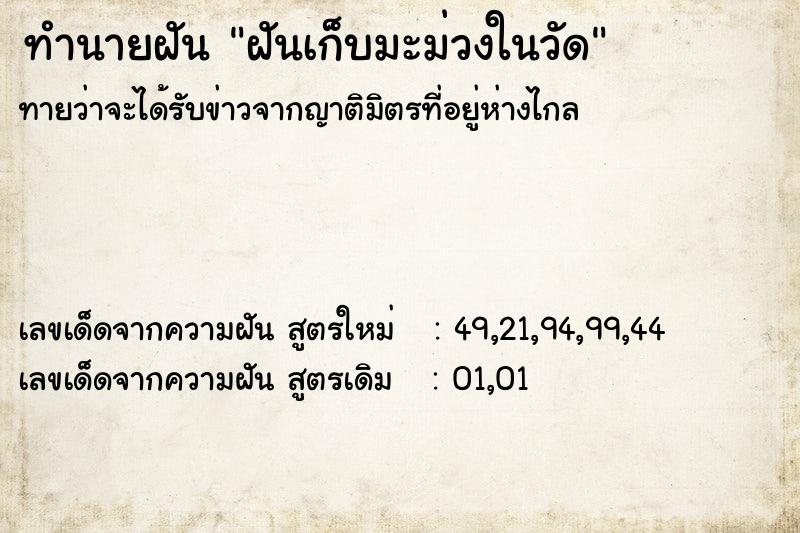 ทำนายฝันฝันเก็บมะม่วงในวัด ทำนายฝันทำนายฝันฝันเก็บมะม่วงในวัด