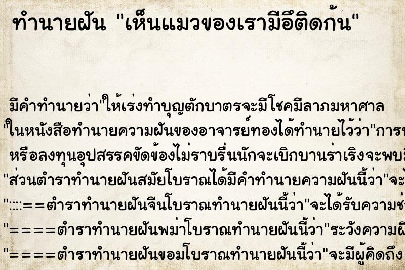 ทำนายฝันทำนายฝันเห็นแมวของเรามีอึติดก้น