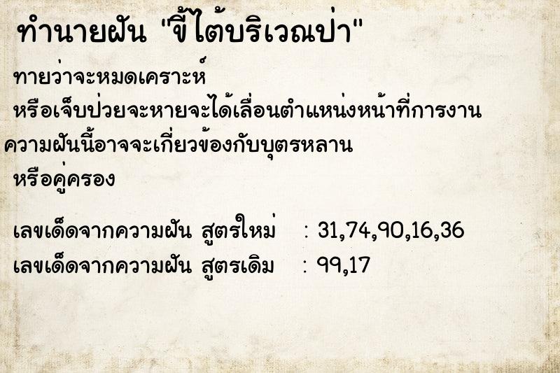 ทำนายฝัน ขี้ไต้บริเวณป่า ทำนายฝัน ขี้ไต้บริเวณป่า