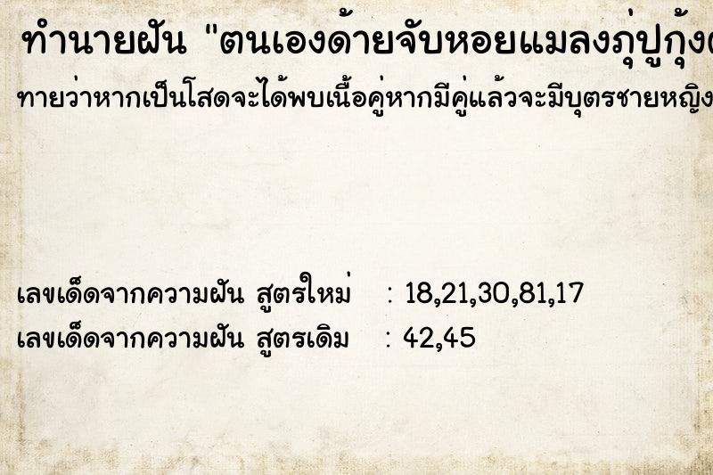 ทำนายฝันตนเองด้ายจับหอยแมลงภุ่ปูกุ้งตัวเล็กด้าย ทำนายฝันทำนายฝันตนเองด้ายจับหอยแมลงภุ่ปูกุ้งตัวเล็กด้าย