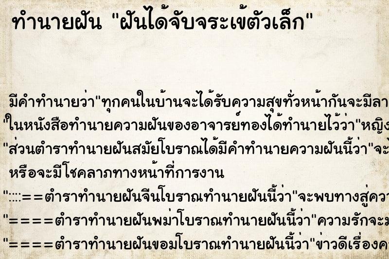 ทำนายฝันทำนายฝันฝันได้จับจระเข้ตัวเล็ก