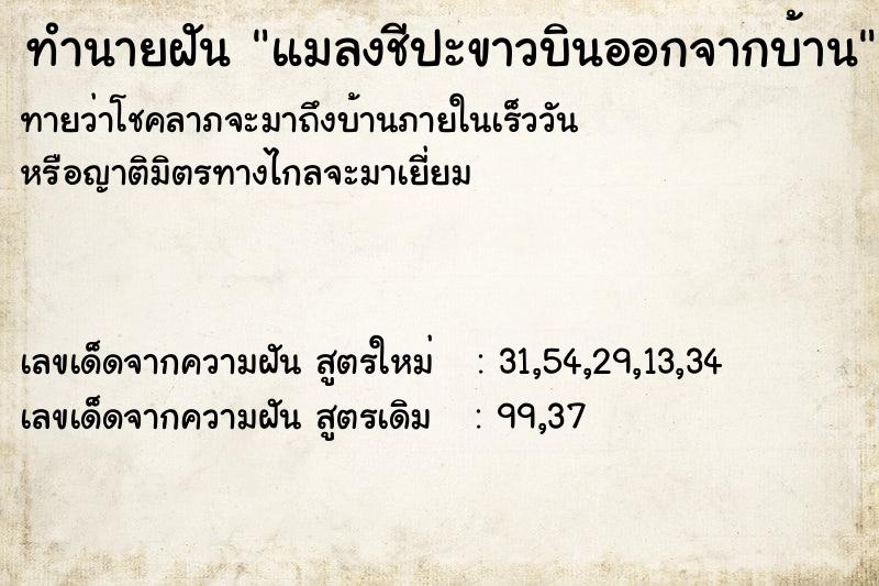 ทำนายฝันทำนายฝันแมลงชีปะขาวบินออกจากบ้าน