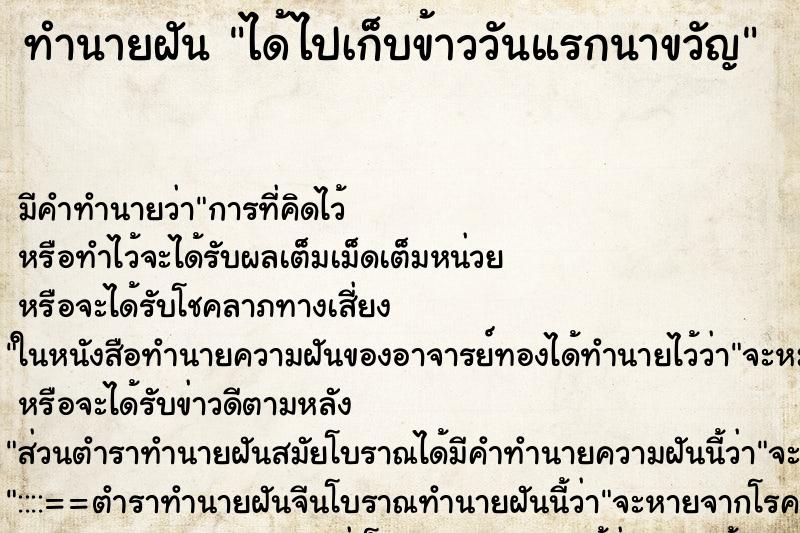 ทำนายฝันได้ไปเก็บข้าววันแรกนาขวัญ ทำนายฝันทำนายฝันได้ไปเก็บข้าววันแรกนาขวัญ