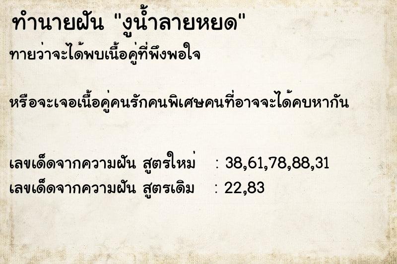 ทำนายฝันงูน้ำลายหยด ทำนายฝันทำนายฝันงูน้ำลายหยด