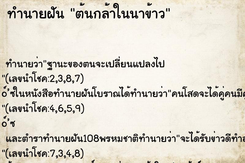 ทำนายฝัน ต้นกล้าในนาข้าว ทำนายฝัน ต้นกล้าในนาข้าว