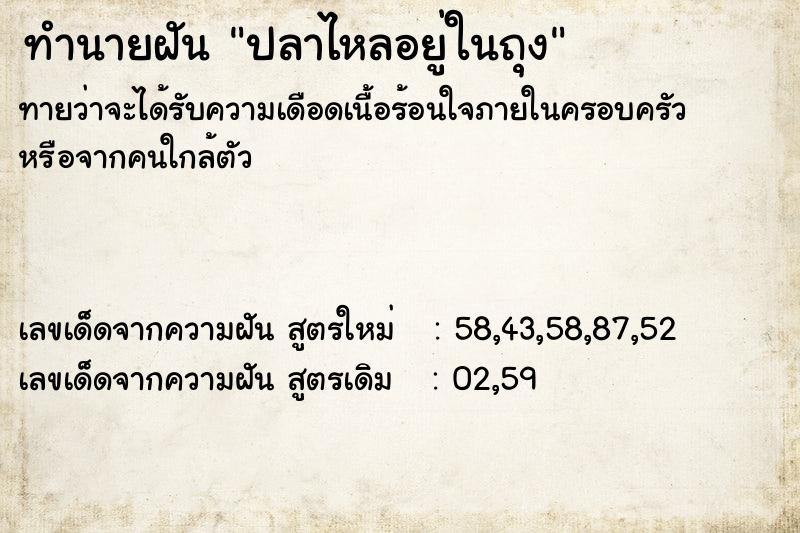 ทำนายฝัน ปลาไหลอยู่ในถุง
