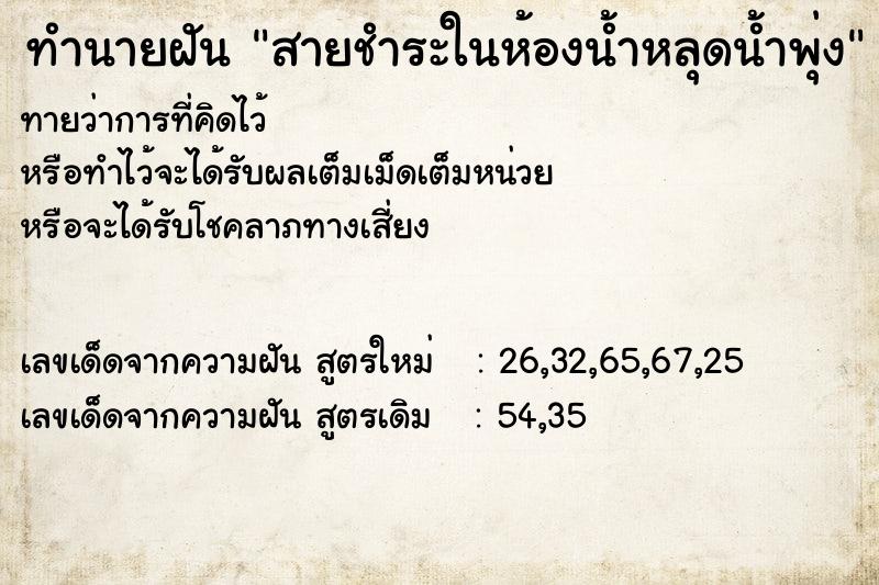 ทำนายฝันทำนายฝันสายชำระในห้องน้ำหลุดน้ำพุ่ง