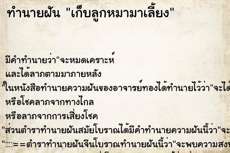 ทำนายฝัน เก็บลูกหมามาเลี้ยง ทำนายฝัน เก็บลูกหมามาเลี้ยง
