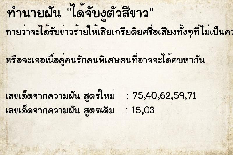 ทำนายฝันทำนายฝันได้จับงูตัวสีขาว