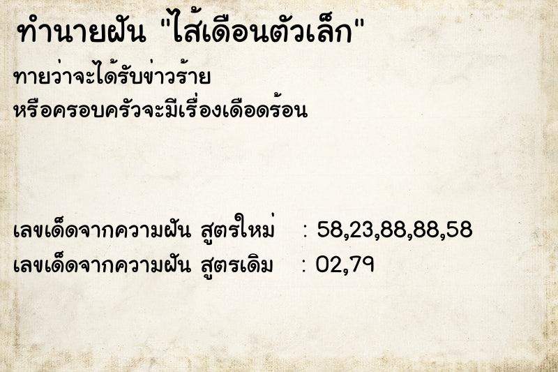 ทำนายฝัน ไส้เดือนตัวเล็ก